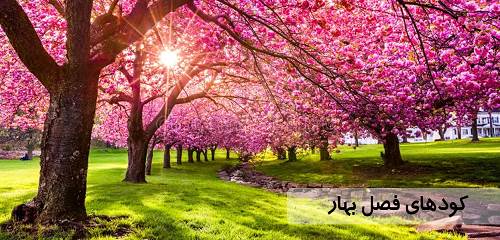 کودهای ویژه فصل بهار