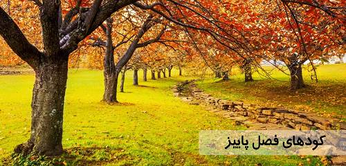 کودهای ویژه فصل پاییز