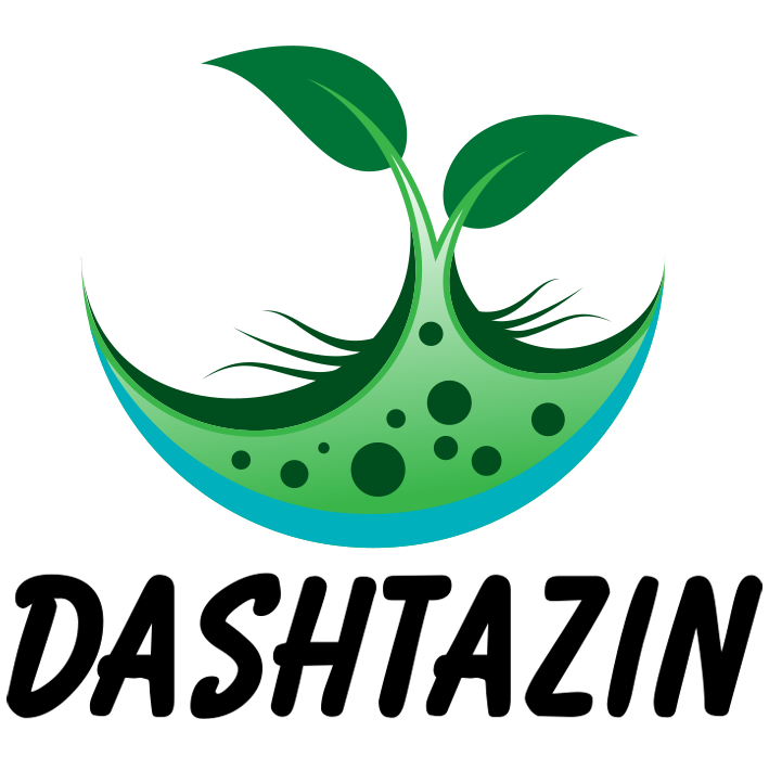دشت آذین