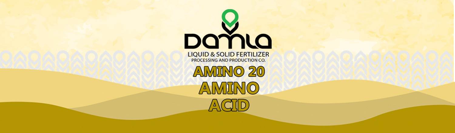 AMINO ACID