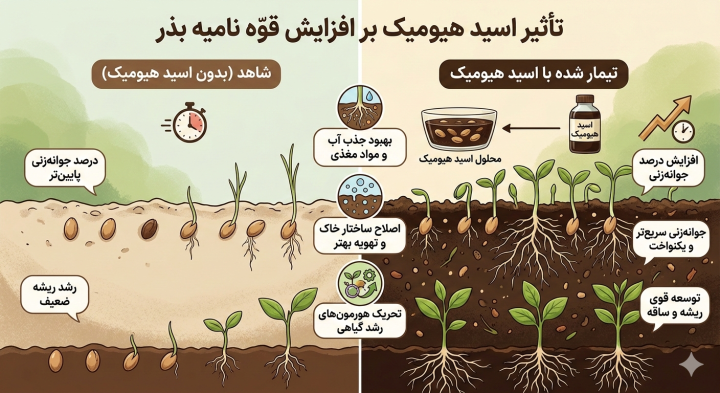 تأثیر اسید هیومیک بر افزایش قوّه‌نامیه بذر