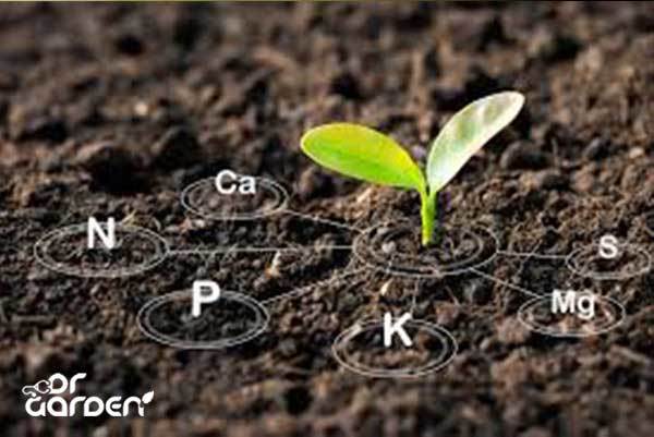 تحرک عناصر غذایی به چه معناست؟