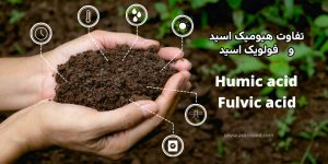تفاوت هیومیک اسید و فولویک اسید چیست؟