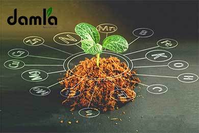 راهنمای کامل ترکیب کودهای شیمیایی و آلی